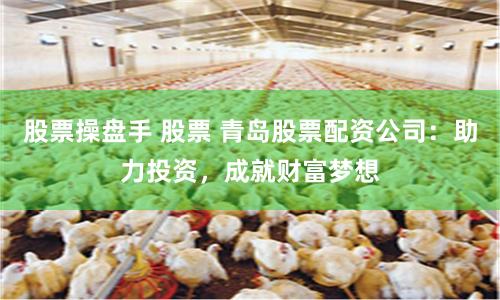 股票操盘手 股票 青岛股票配资公司：助力投资，成就财富梦想