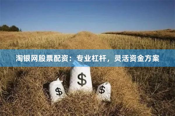 淘银网股票配资：专业杠杆，灵活资金方案